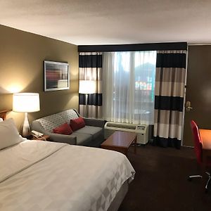 Standard King Room Pool View