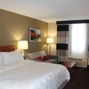 Standard King Room Sofa Bed